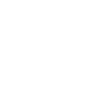Shocks & Brakes icon