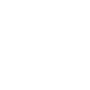 Wheel icon