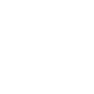 Tyre icon